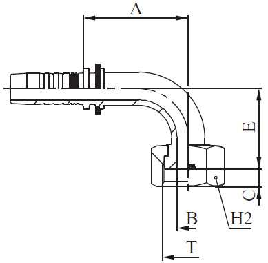 HEMBRA ORFS   90º M22493